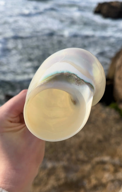 Ariel's Shell Champagne Glass